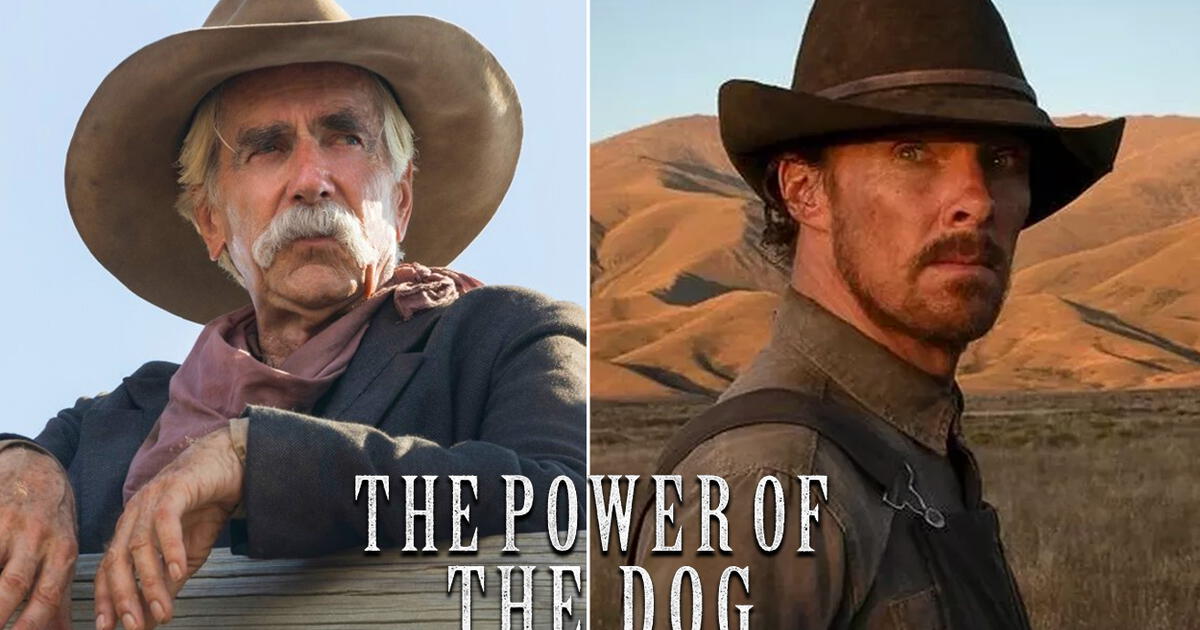 Zona C  El poder del perro: western y homosexualidad regresan a la  pantalla - El Pitazo