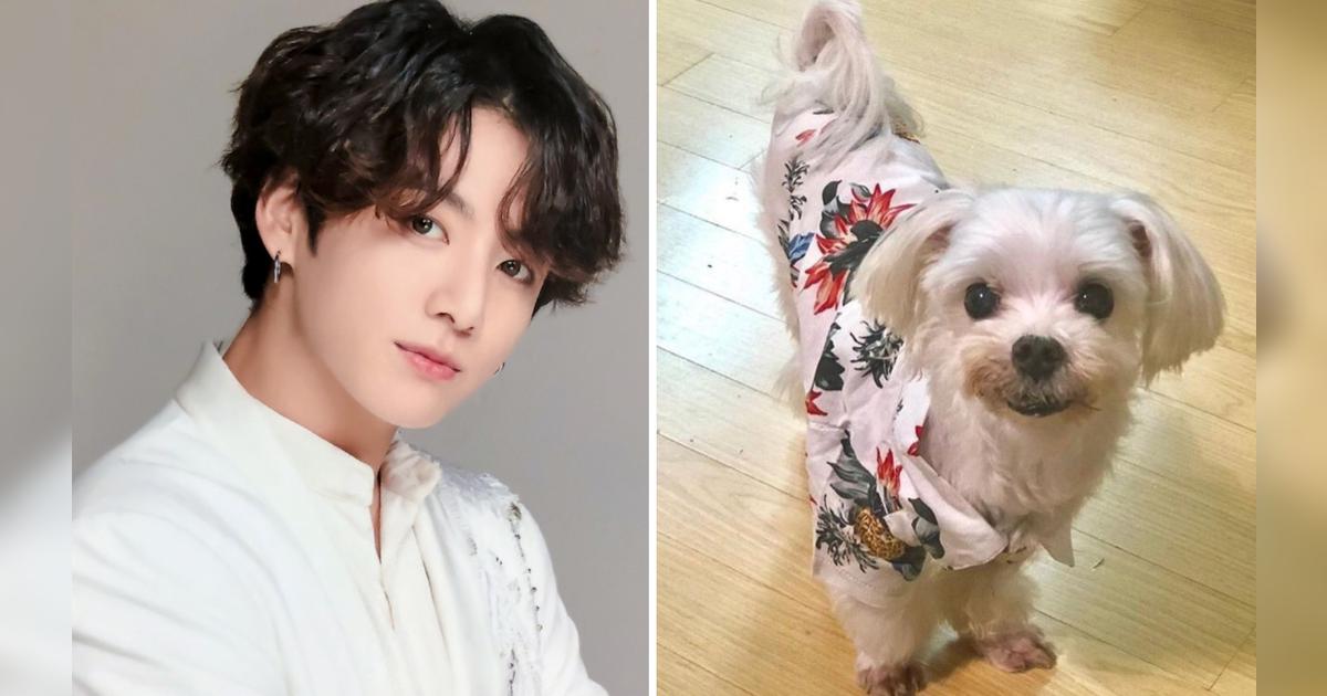 BTS: falleció Gureum mascota de Jungkook y así se despidió el hermano