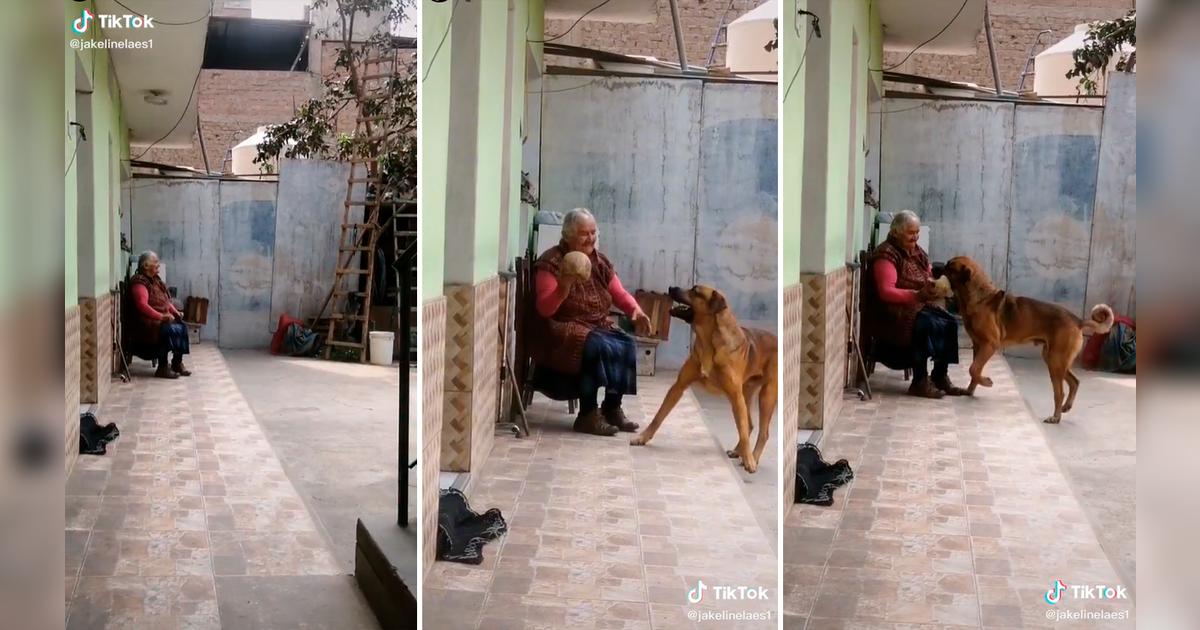 TikTok viral: Adulta mayor genera ternura en TikTok al jugar con su ...