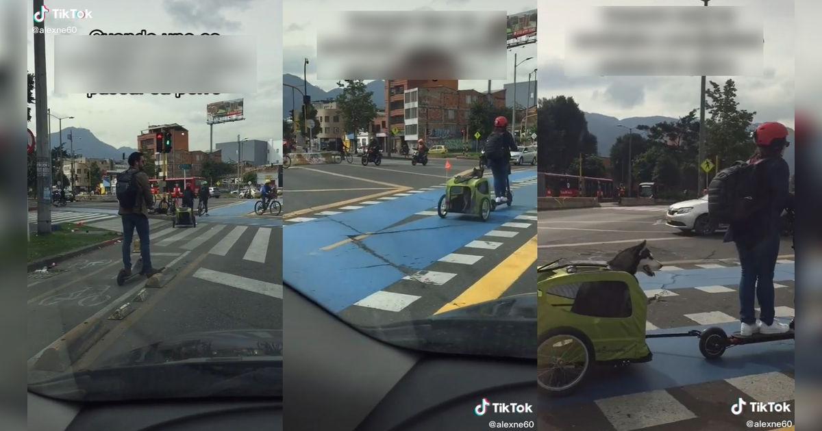 TikTok viral: mujer sale a pasear en scooter y lleva a su adorable ...