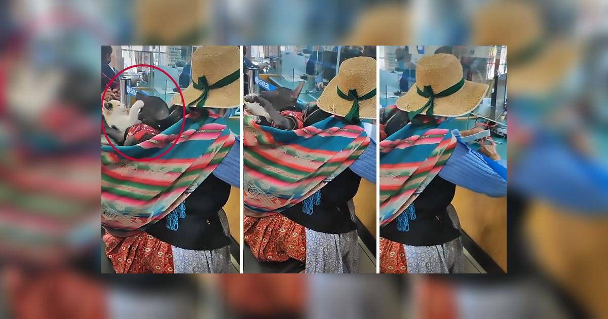 TikTok viral: adulta mayor conmueve al llevar a sus mascotas en su ...