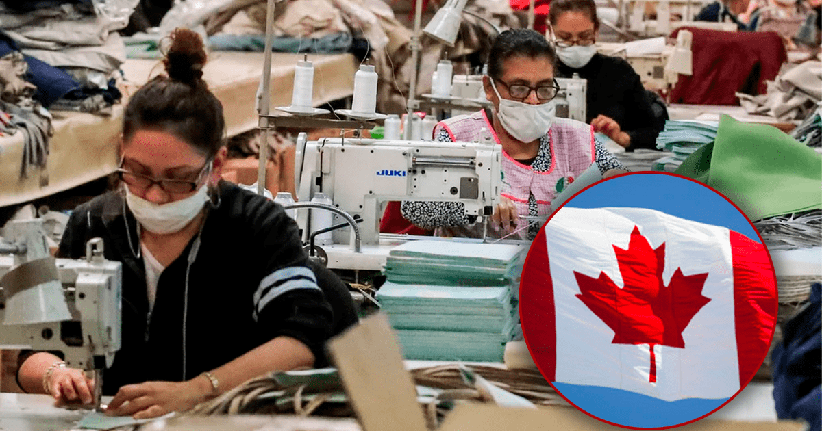 Canada goose hotsell peru trabajo