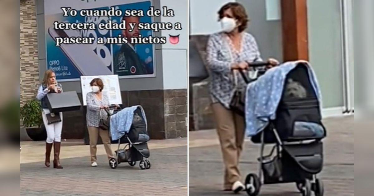 TikTok viral: adulta mayor coloca a su perrito en un coche de bebés ...