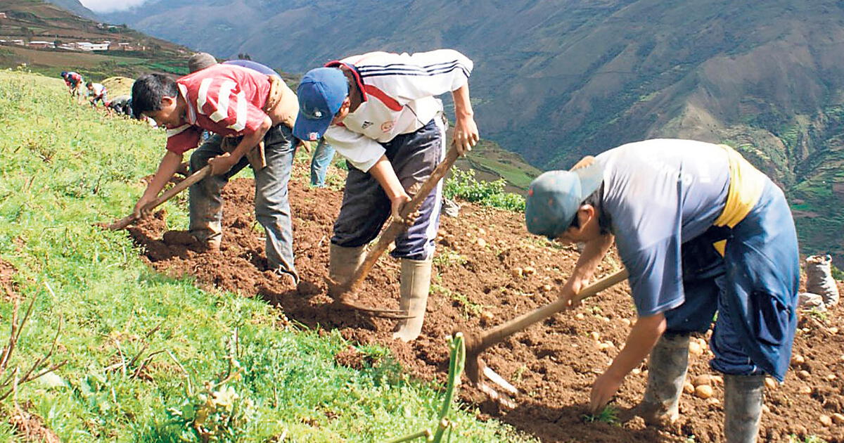 Congreso Aprueba Que Sierra Y Selva Exportadora Pase A Llamarse ...