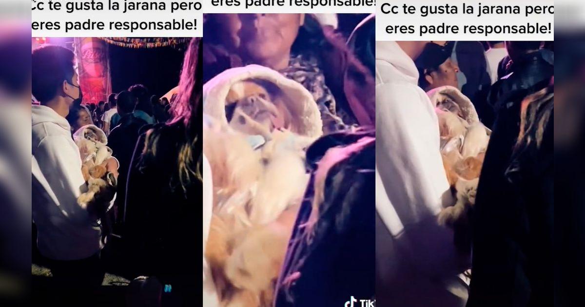TikTok viral: joven lleva a su perrito a un concierto y lo acurruca ...
