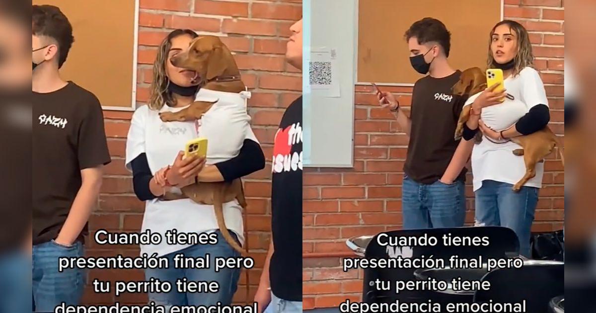 TikTok viral: joven lleva a su perrito a la escuela y expone su trabajo ...