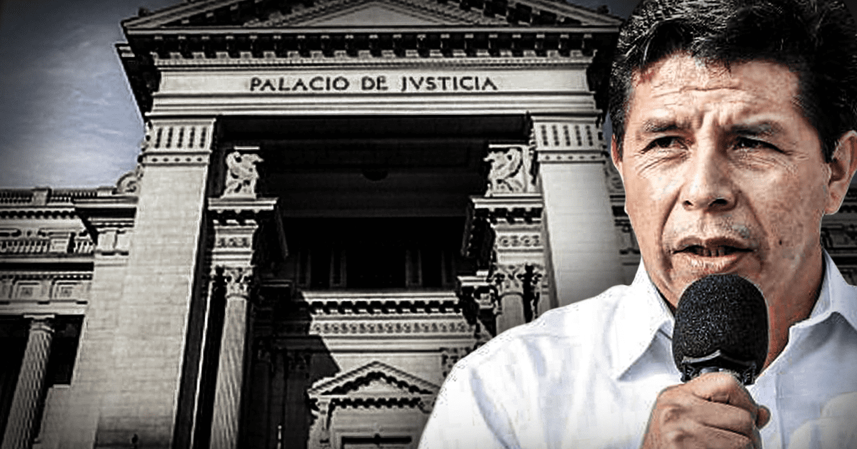 Pedro Castillo: Defensa Legal Del Jefe De Estado Apelará Decisión De ...