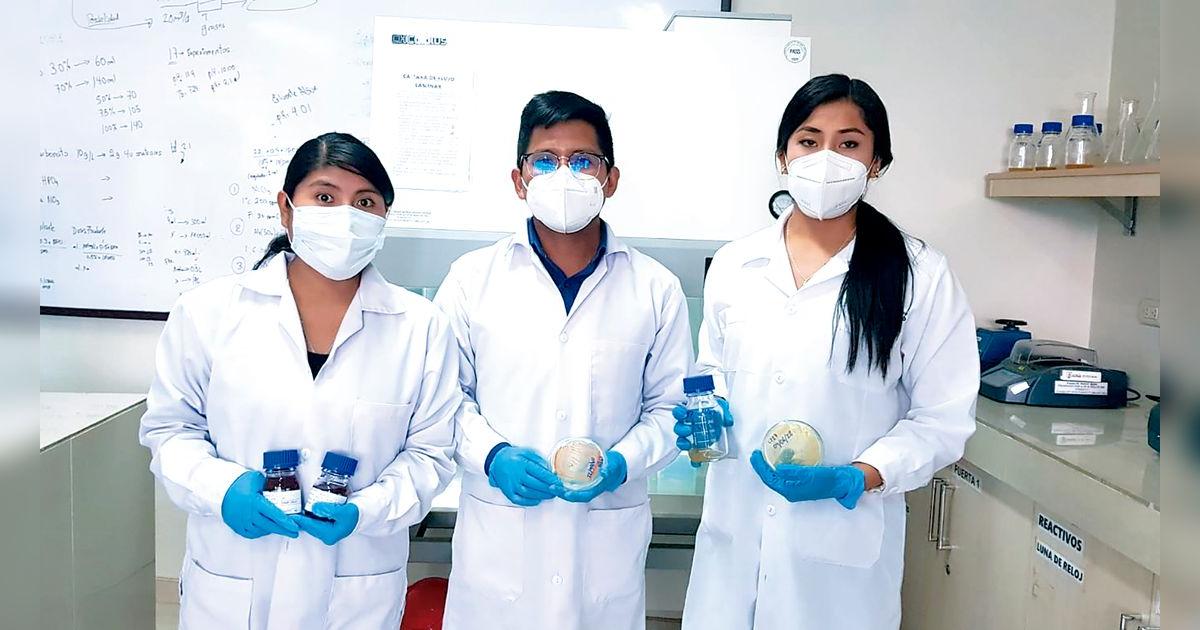 Universitarios de Arequipa descubren bacteria para limpiar aguas ...