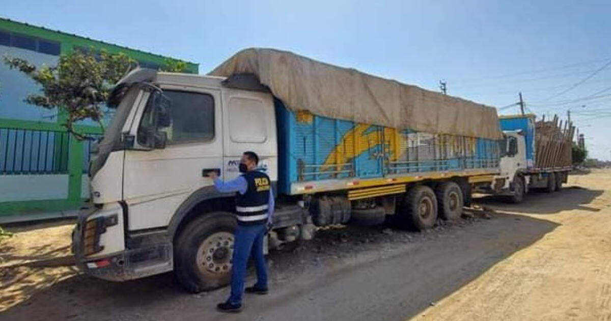 Trujillo Incautan Camiones Cuyo Valor Conjunto Es Más De 1 Millón Y Medio De Soles Sociedad 9040