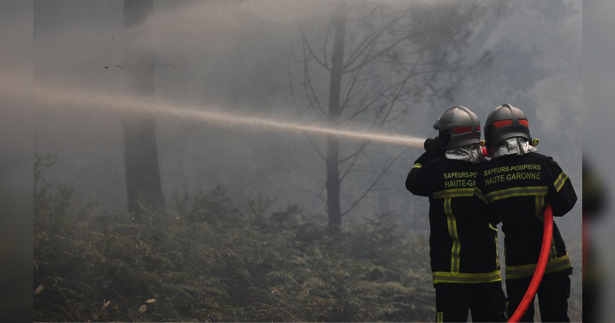 Incendios forestales en el suroeste de Francia arrasan con más de 10. ...