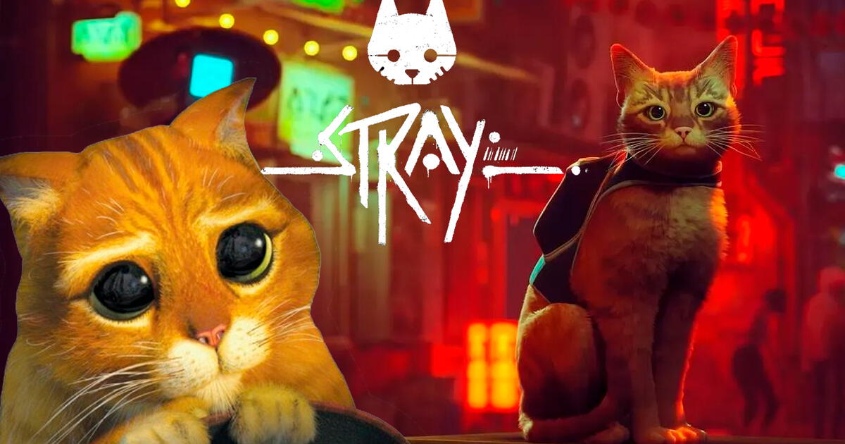 El juego del gato Stray es tan corto que algunos jugadores lo terminan y  piden el reembolso del dinero en Steam