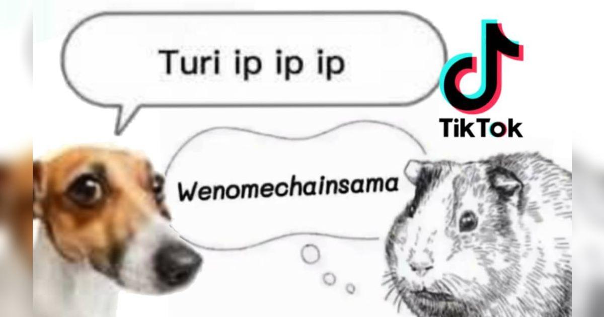 TikTok viral: ¿Cómo nació el meme Wenomechainsama y Turi ip ip ip que ...