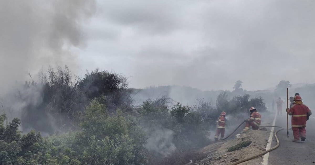 Incendio Forestal Destruye 200 Metros De Cobertura Vegetal En Áncash Sociedad La República 5672