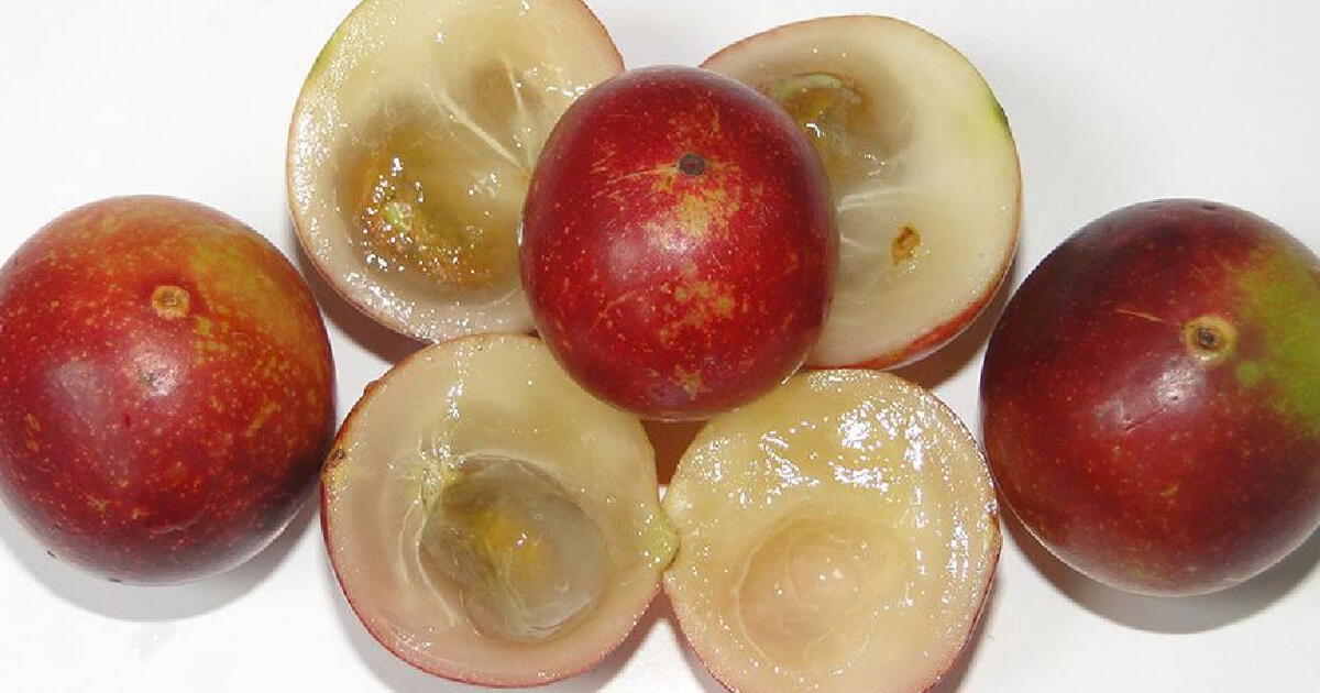 ¿para Qué Sirve El Camu Camu Y Qué Beneficios Tiene Según La Ciencia