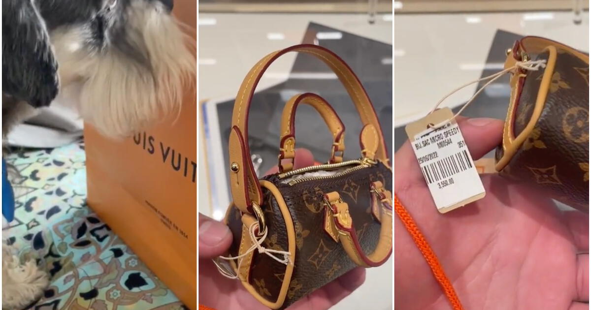 TikTok viral  Empleada descubre que la bolsa Louis Vuitton que le