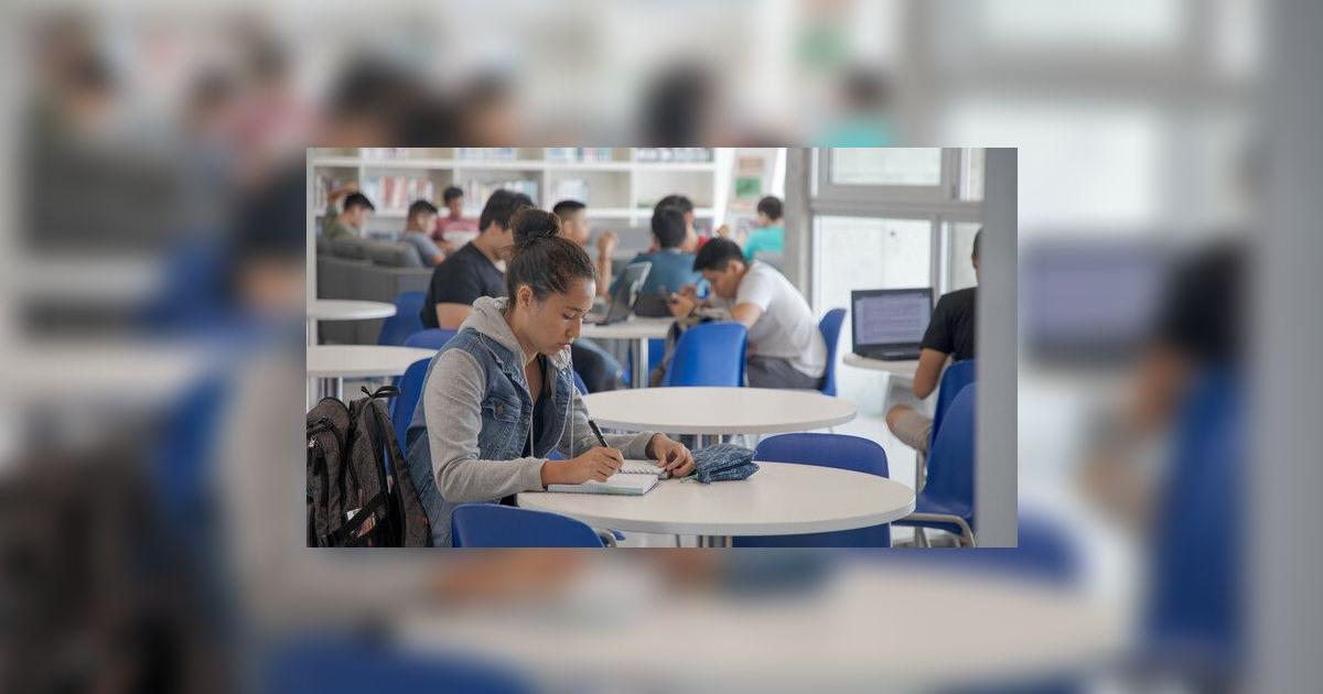 Las 10 carreras con más demanda laboral en Perú, según el Ministerio de ...