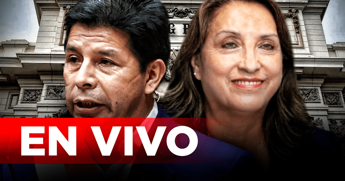 Pedro Castillo Y Dina Boluarte | Congreso EN VIVO Subcomisión De ...