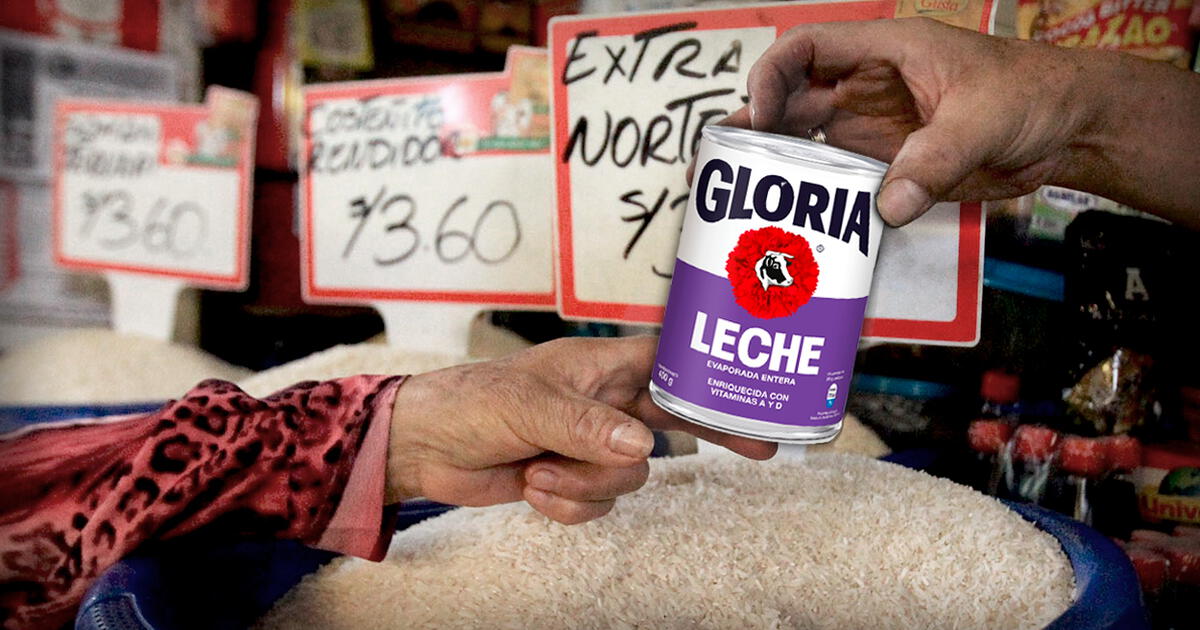 Gloria lanza una nueva leche evaporada entera de etiqueta morada ante el  cambio de reglamento, Leche Gloria, Leche evaporada, Leche de vaca, Leche en polvo, RMMN, ECONOMIA