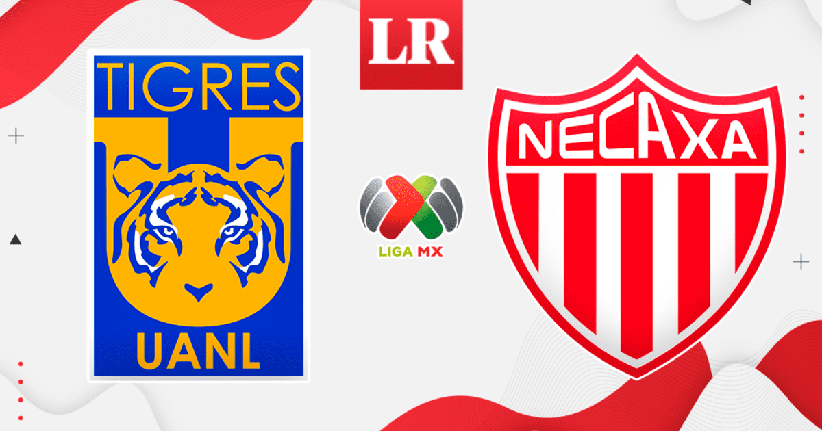 Tigres Vs Necaxa Resumen Y Goles De La Victoria De Tigres Por La Liga