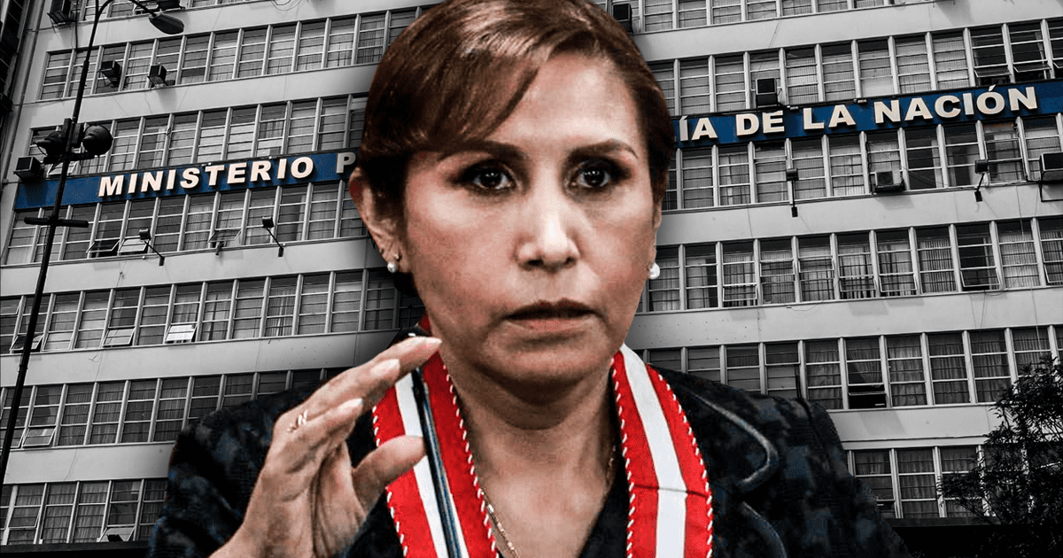 Patricia Benavides: Argumentos De Denuncia Por Presunta Organización ...