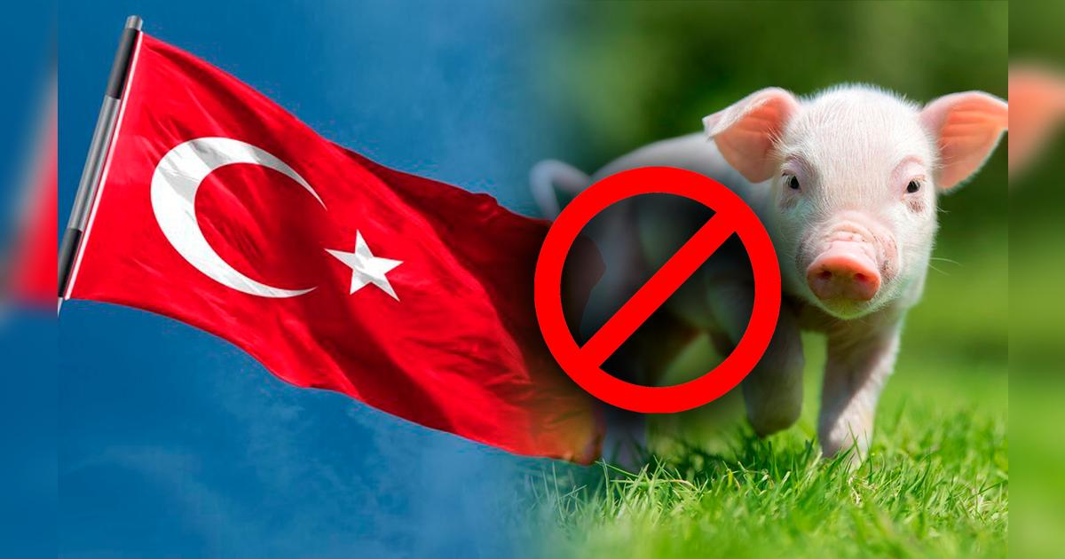¿Por qué los turcos no comen carne de cerdo? Estos son los motivos de