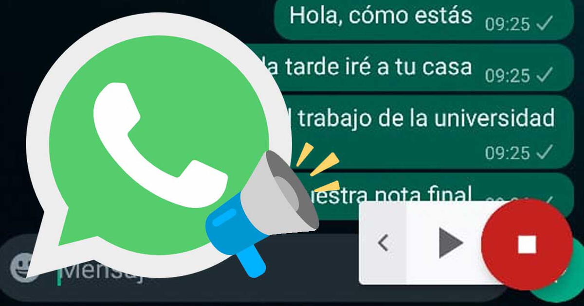 WhatsApp c mo activar el bot n secreto para que mi tel fono lea