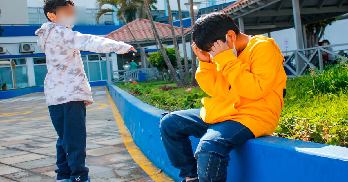 Bullying En Colegios ¿cómo Prevenir Y Denunciar El Bullying En Los