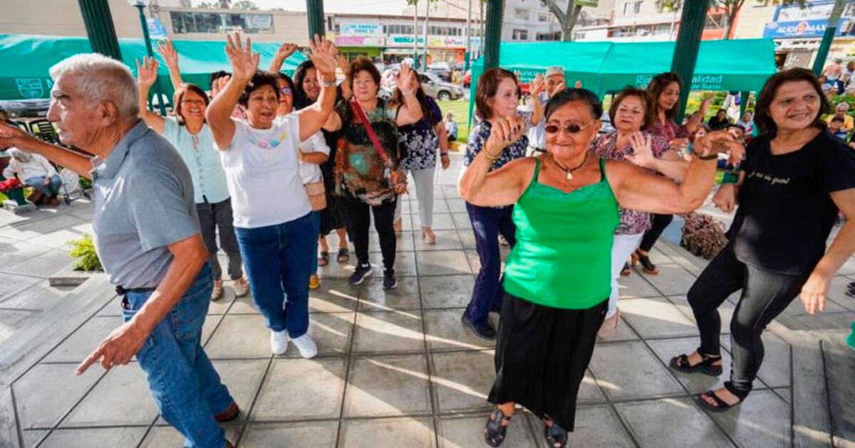 Voluntariados en Lima buscan a personas que brinden compañía a adultos mayores en Surco