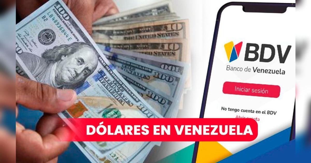 Banco de Venezuela ¿Cómo comprar y vender dólares en el Banco de