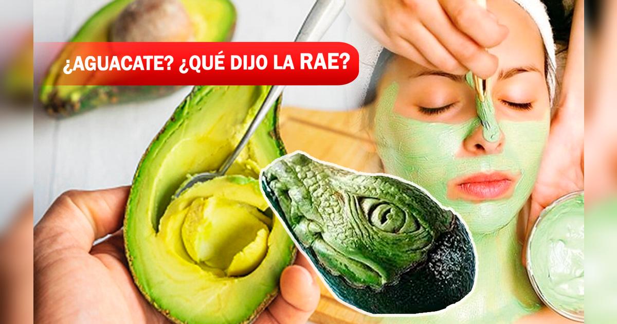 ¿Aguacate, palta o avocado? Estos son los más de 10 nombres que posee
