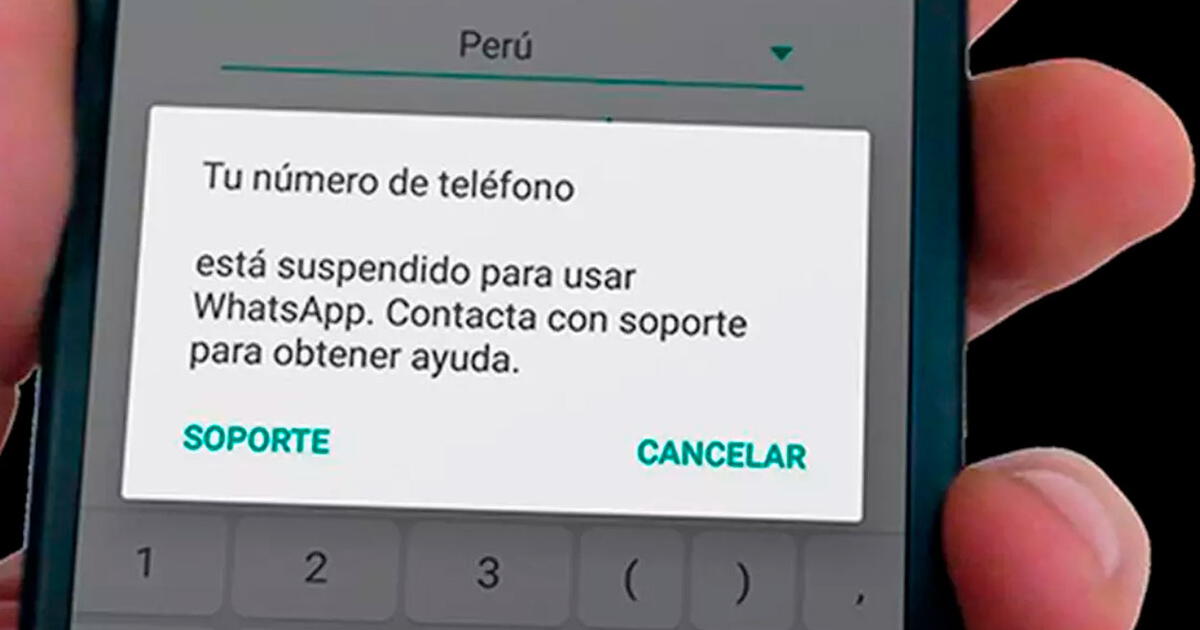 Whatsapp Podría Eliminar Tu Cuenta Para Siempre Si Has Instalado Alguna De Estas Apps 5975