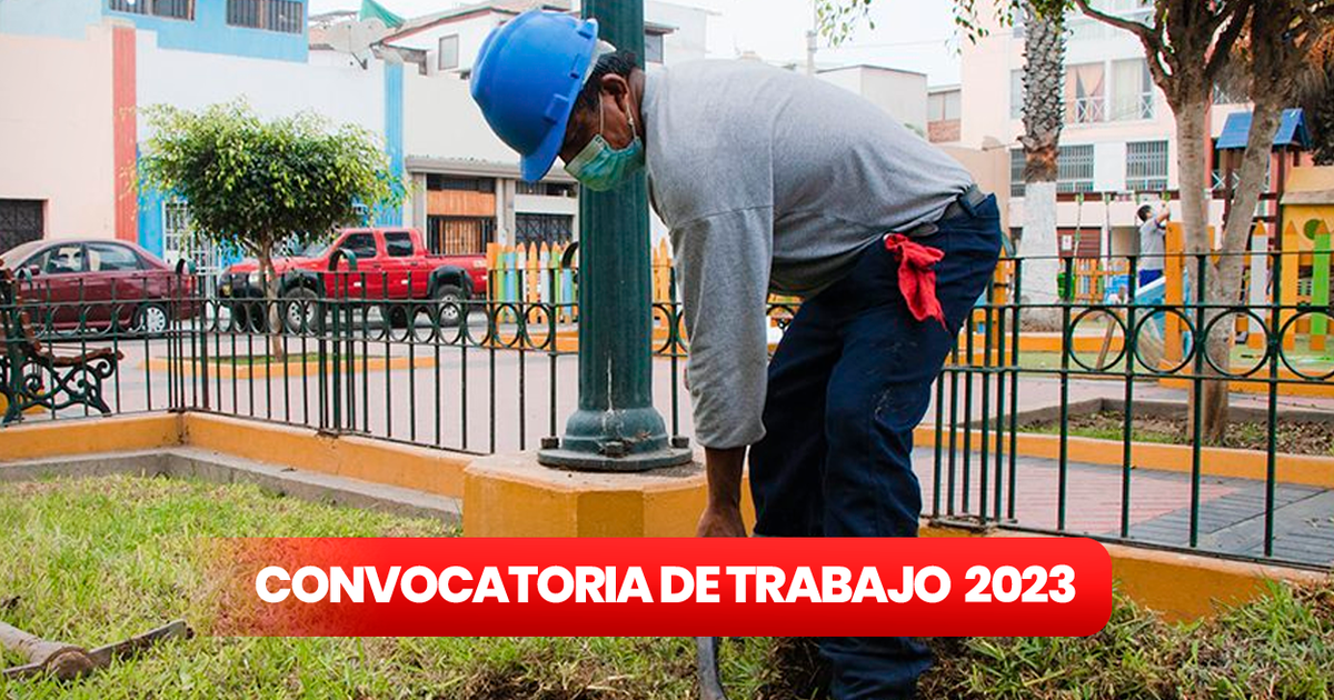 Convocatoria De Trabajo: Municipalidad De Barranco Ofrece 89 Vacantes ...