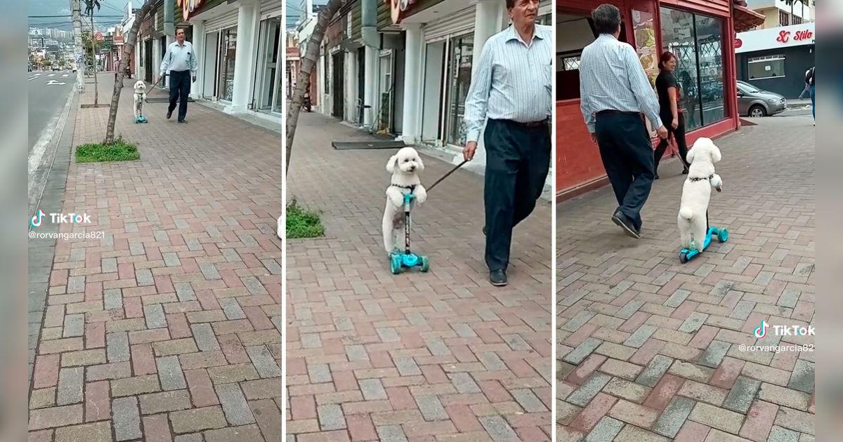 TikTok viral | Adulto mayor pasea a su perrito en scooter y causa furor ...