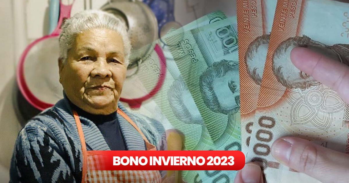 IPS bono invierno 2023 consultar con rut si eres beneficiario y cómo