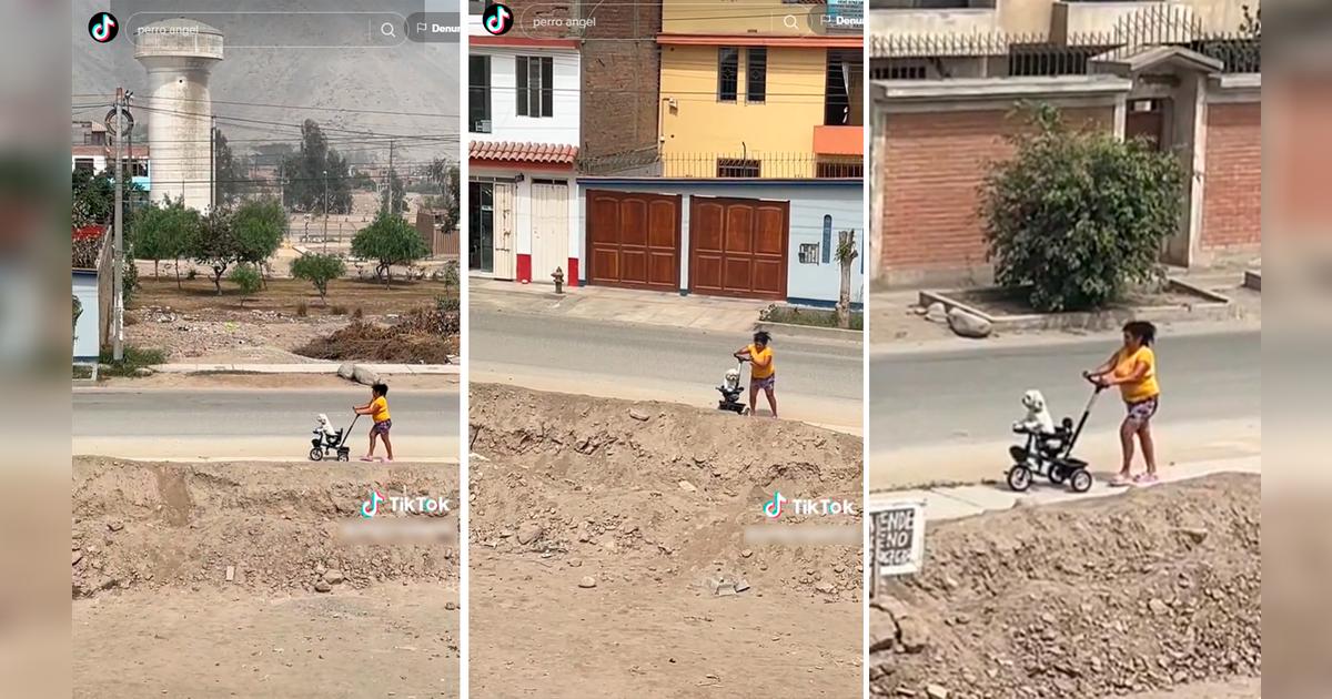 TikTok viral | Mujer enternece al sacar a pasear a su perrito en coche ...