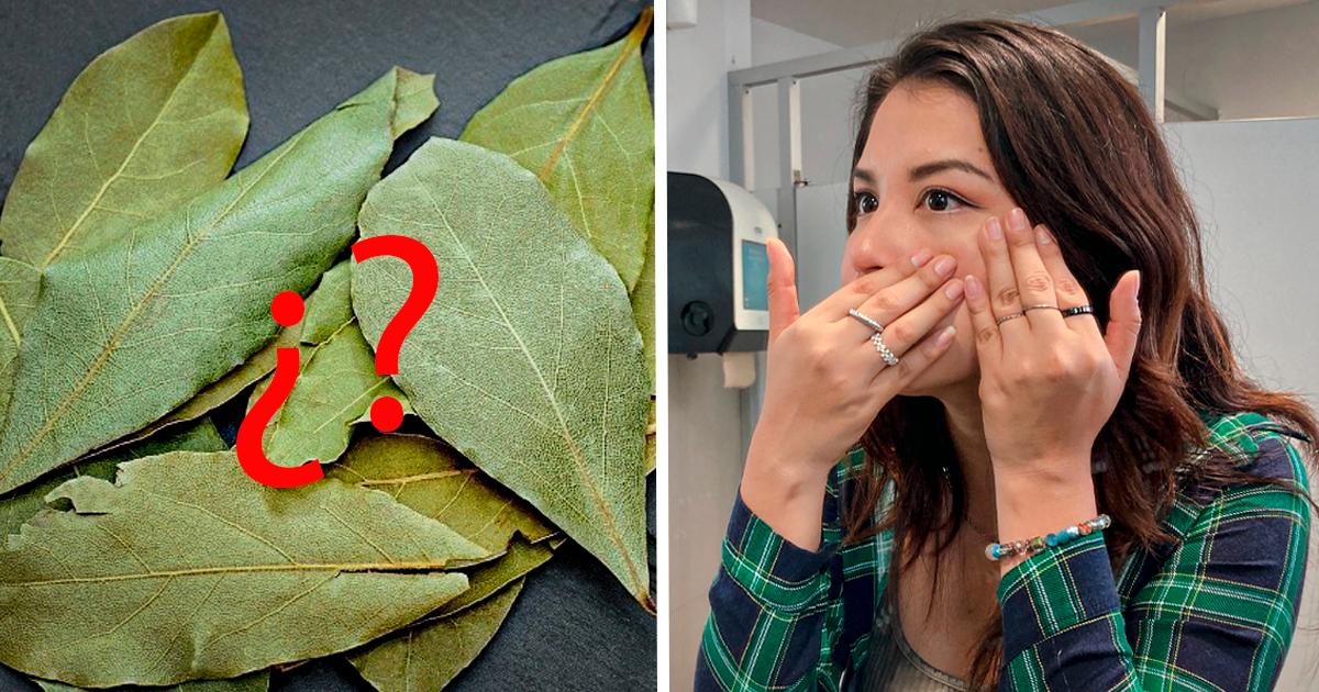 ¿Es mito o verdad que las hojas de laurel ayudan contra las arrugas