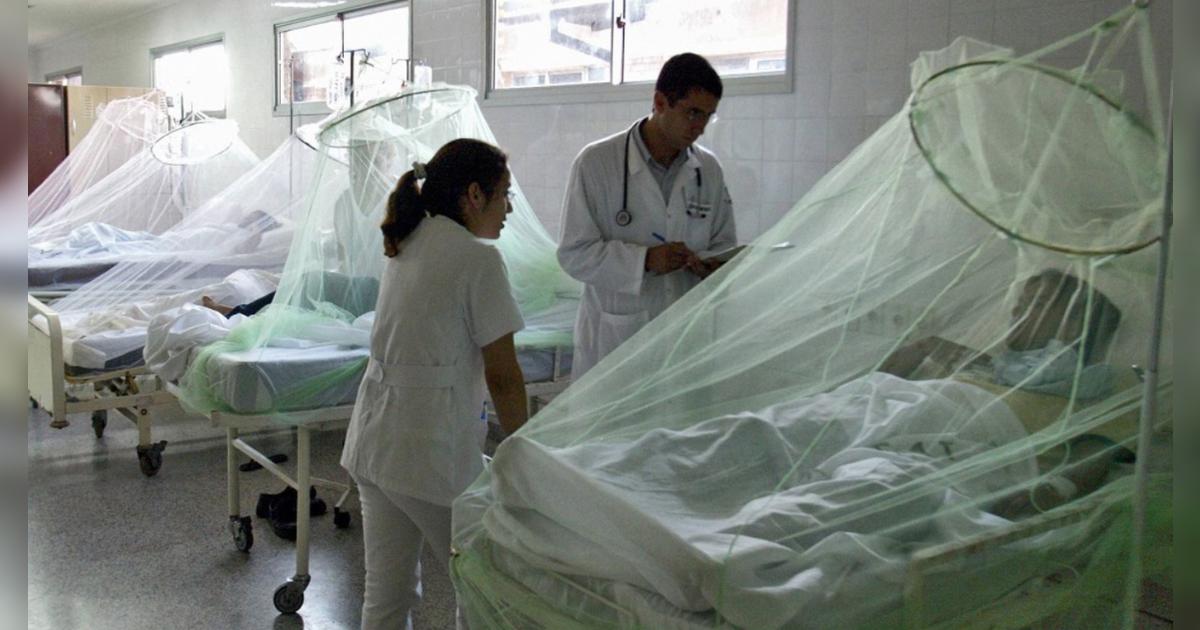 Dengue en Piura | Viceministra de Salud sobre dengue en Piura: "Es ...