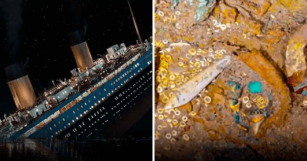 Detalle Imagem Titanic Restos Humanos Thptletrongtan Edu Vn