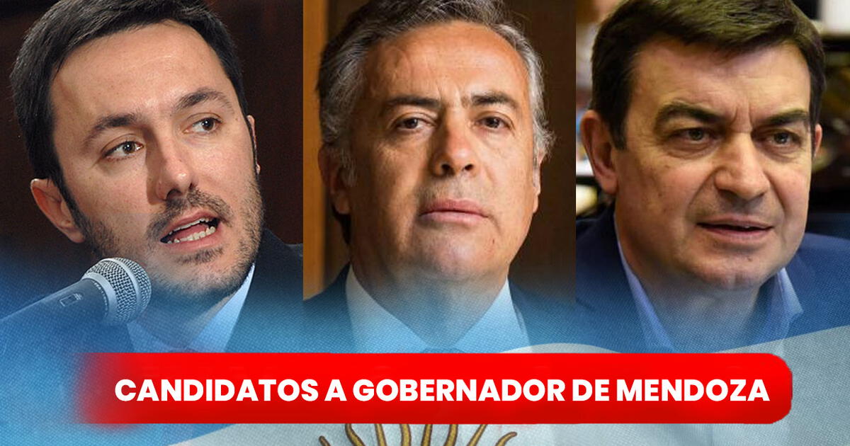 Candidatos A Gobernador De Mendoza 2023 ¿quienes Participan En La Elecciones De Este Domingo 