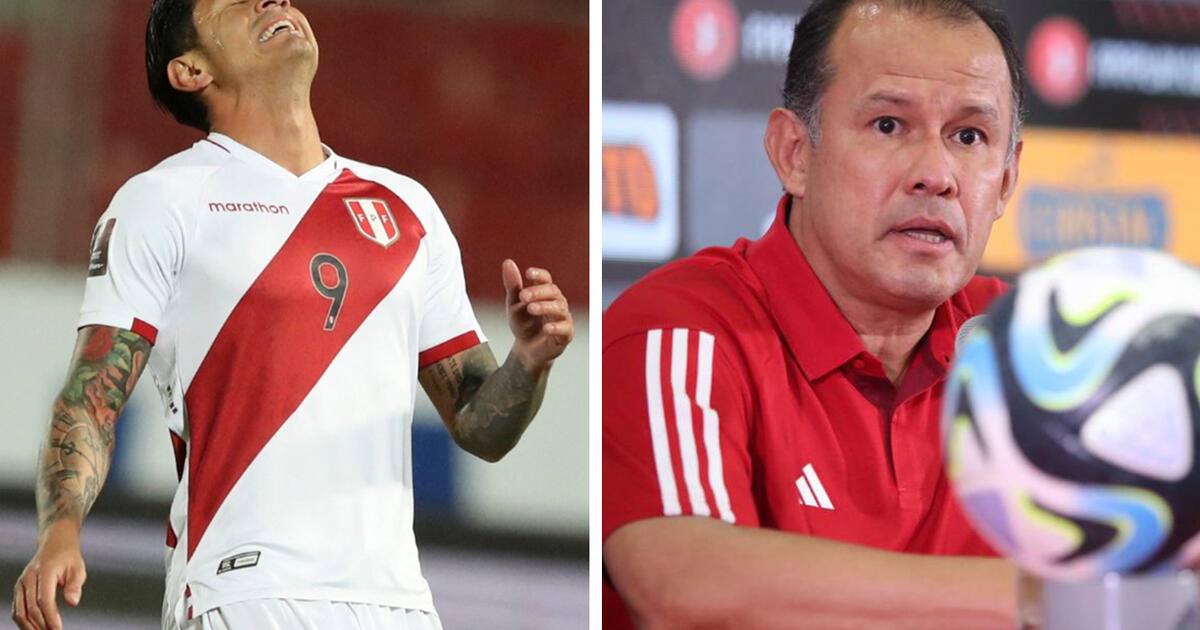 Selección Peruana Juan Reynoso Reveló La Verdadera Razón Por La Que Gianluca Lapadula No Jugará 9326