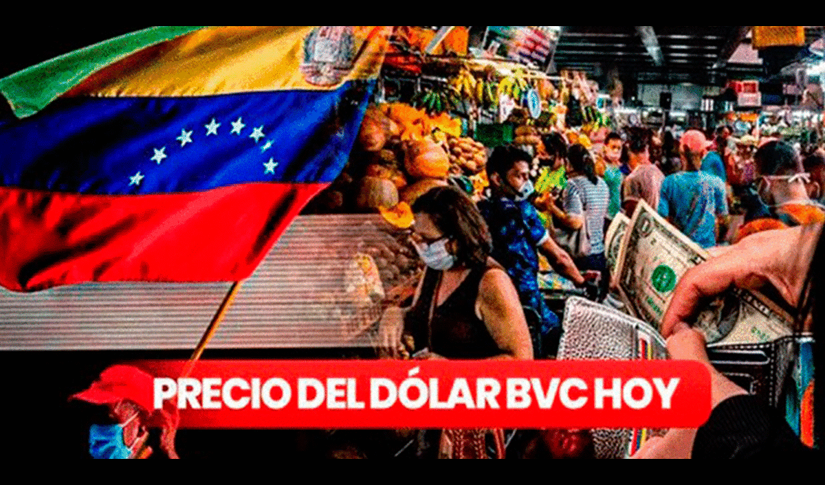 Dolar BCV sábado 17 de junio 2023 Precio del dolar hoy por el Banco