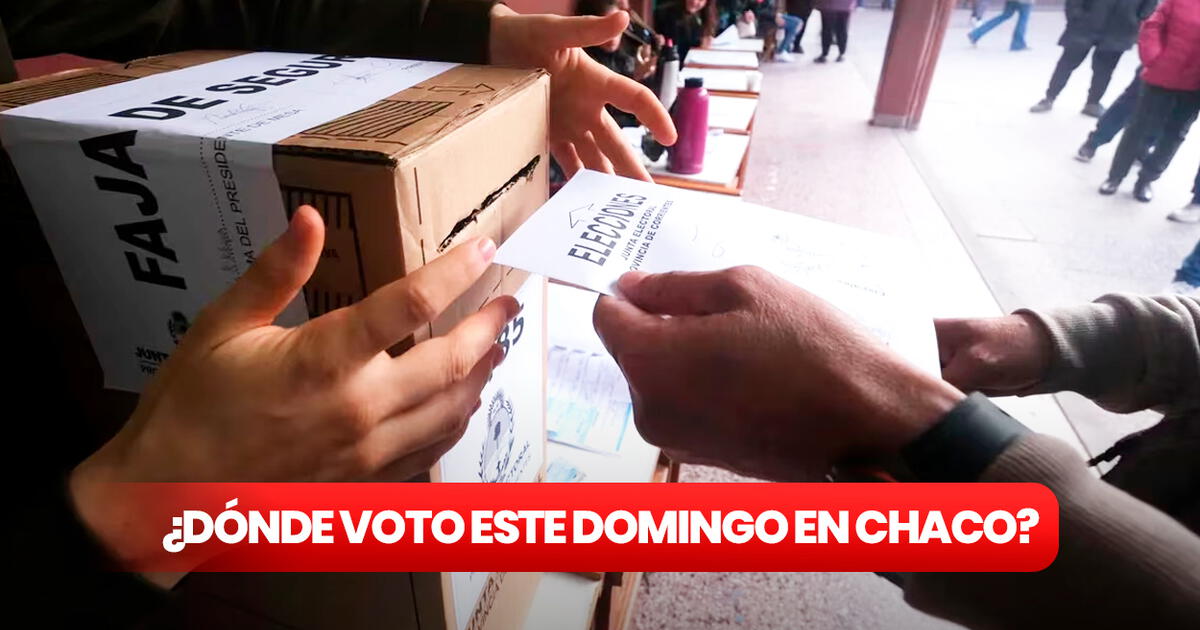 C mo saber d nde voto en las elecciones del Chaco Revisa el padr n electoral