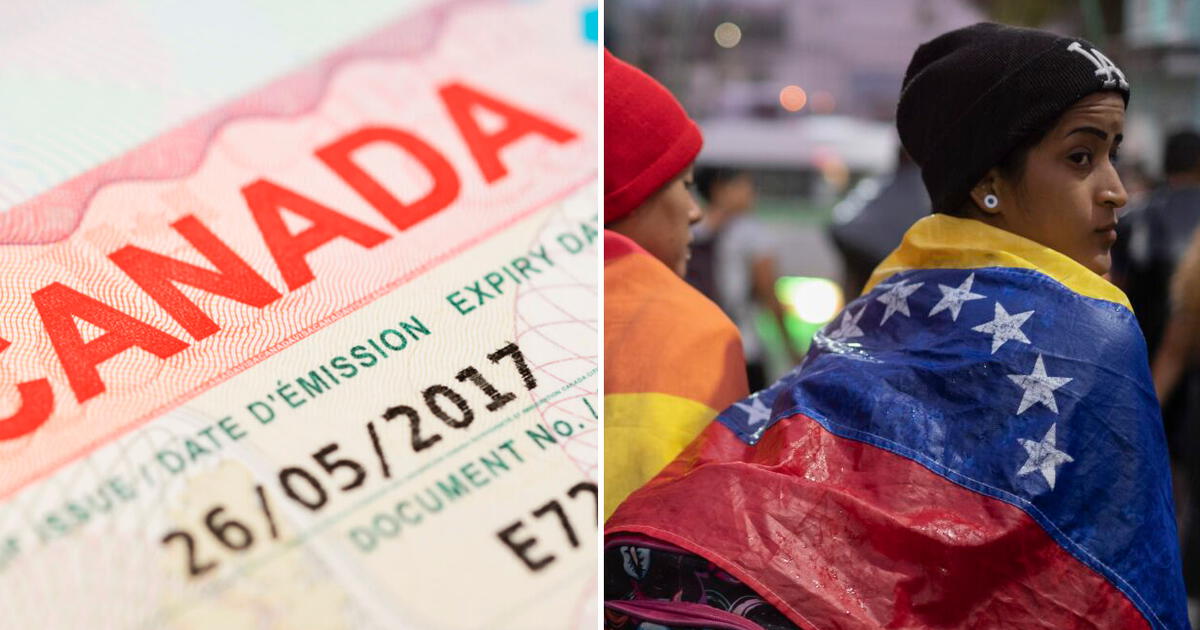 Visa Canadiense Para Venezolanos ¿cuáles Son Los Requisitos Para Sacarla Y Cuánto Cuesta 9987