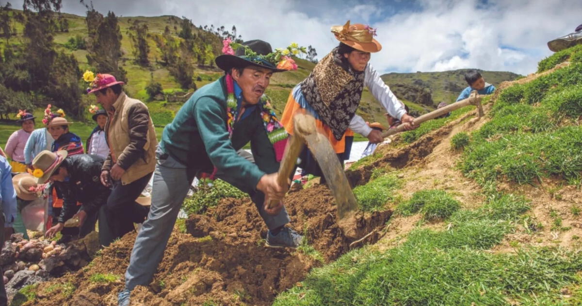  Imágenes por el Día del Campesino en Venezuela 2024. Foto: Centro Peruano de Estudios Sociales    