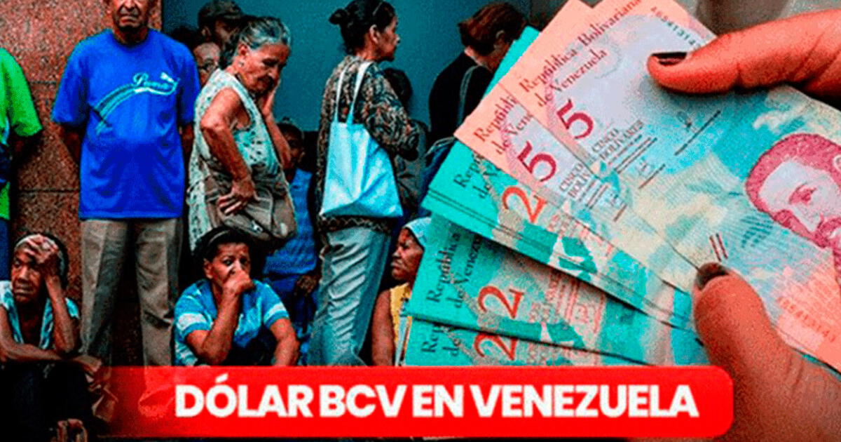 Dolar BCV 28 de junio 2023 Precio del dolar hoy por el Banco Central