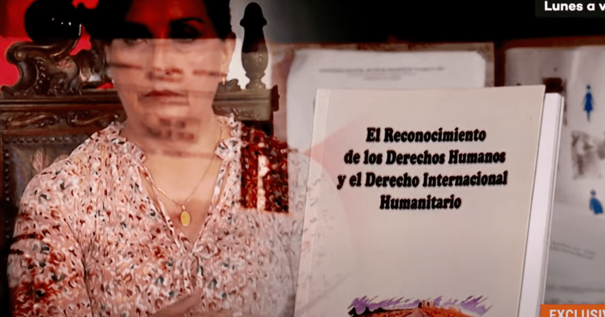 Dina Boluarte Plagio: Libro De Su Coautoría Sobre Los Derechos Humanos ...