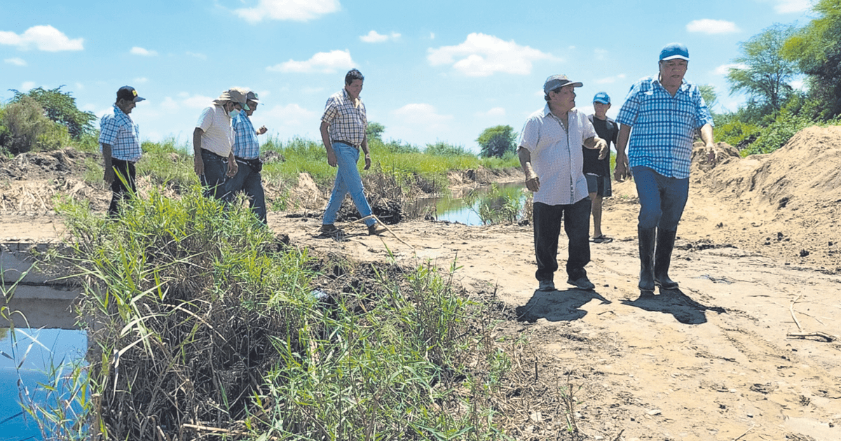 Agricultores De Piura Y Tumbes Exigen Al Estado Apoyo Inmediato Al Agro