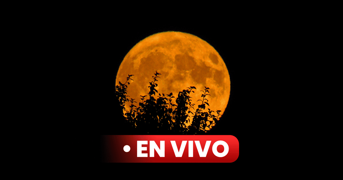 A Qué Hora Se Verá La Superluna Hoy: En Vivo, Luna Llena De Agosto 2023 ...