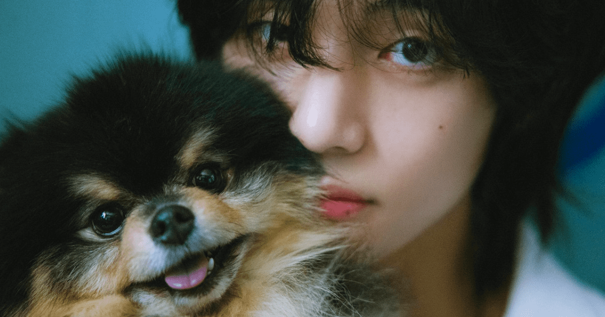 Taehyung De BTS: ¿quién Es Yeontan, El Perro Que Inspiró El Primer ...