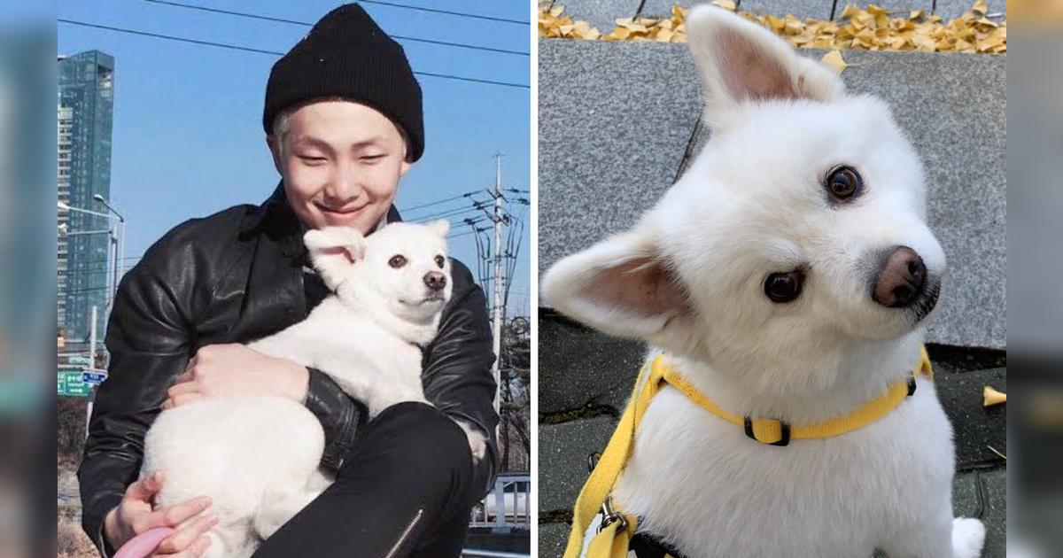 Namjoon de BTS: líder RM revela que murió Monie, su adorable perrito